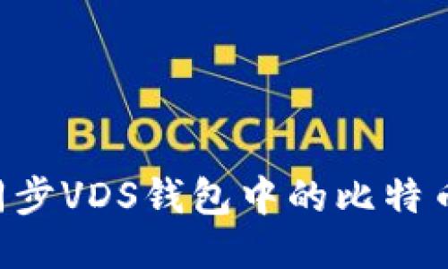 如何高效同步VDS钱包中的比特币：全面指南