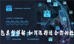 数字人民币钱包类型详解:如何选择适合你的数