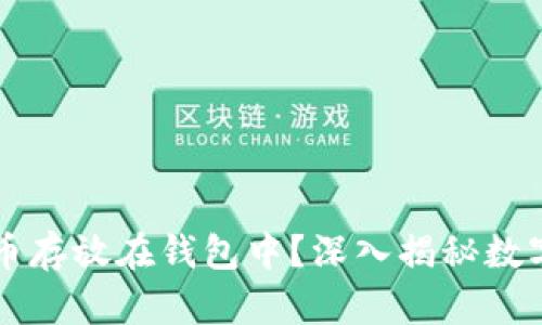 为什么你需要将虚拟币存放在钱包中?深入揭秘数字资产的安全性与管理
