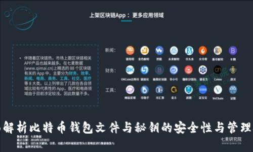 全面解析比特币钱包文件与秘钥的安全性与管理技巧