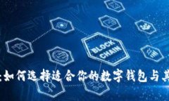 数字钱包的网络:如何选择适合你的数字钱包与