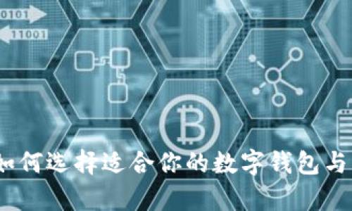 数字钱包的网络：如何选择适合你的数字钱包与其背后的技术解析