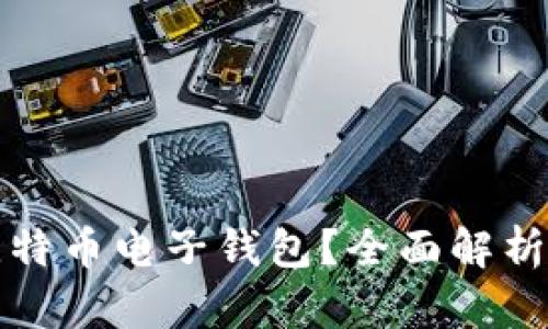 如何选择最适合你的比特币电子钱包?全面解析数字货币钱包的优缺点
