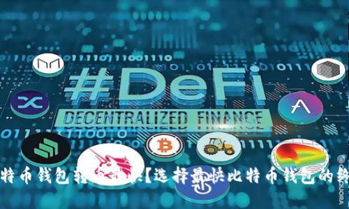 什么比特币钱包转币最快?选择最快比特币钱包的终极指南