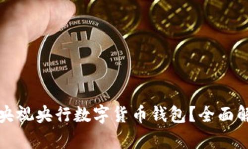 如何安全使用央视央行数字货币钱包？全面解析与实用技巧