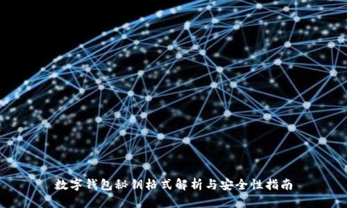 数字钱包秘钥格式解析与安全性指南