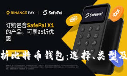 全面解析比特币钱包:选择、类型及安全性
