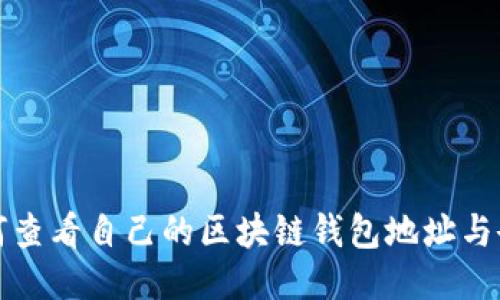 如何查看自己的区块链钱包地址与余额