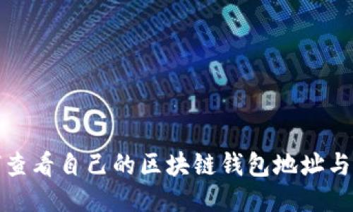 如何查看自己的区块链钱包地址与余额