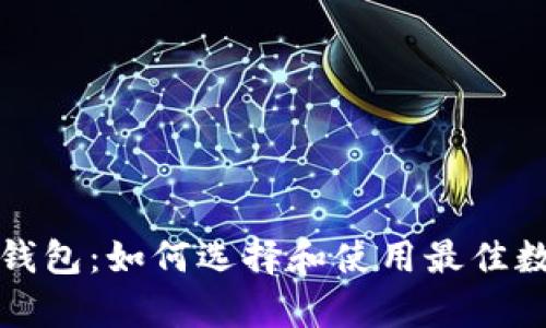 深入解析比特币钱包:如何选择和使用最佳数字资产管理工具