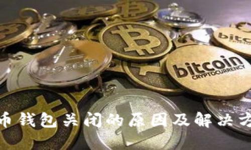 数字货币钱包关闭的原因及解决方案揭秘