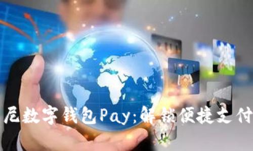 “深入了解印尼数字钱包Pay：解锁便捷支付体验的未来”