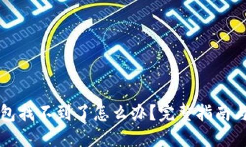 区块链钱包找不到了怎么办?完整指南与解决方案