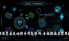 如何恢复丢失比特币钱包密码：全面指南与实用