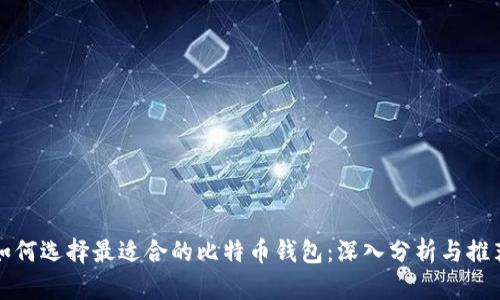 如何选择最适合的比特币钱包：深入分析与推荐