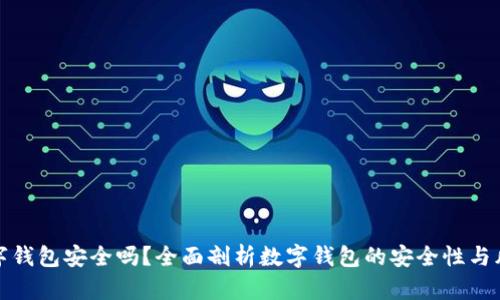 个人数字钱包安全吗?全面剖析数字钱包的安全性与风险管理
