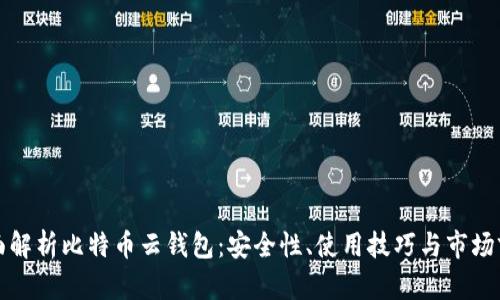 全面解析比特币云钱包：安全性、使用技巧与市场前景