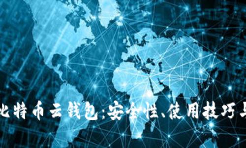 全面解析比特币云钱包：安全性、使用技巧与市场前景