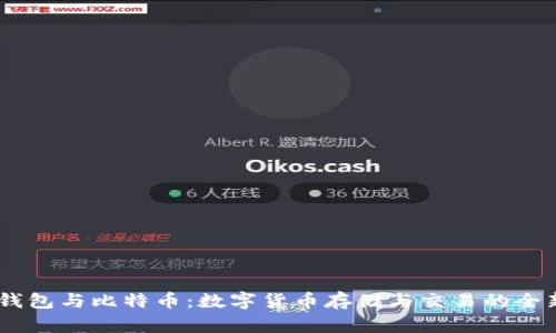 Vpay钱包与比特币:数字货币存储与交易的全新视角