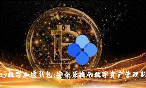 BBPay数字加密钱包:安全便捷的数字资产管理新选择
