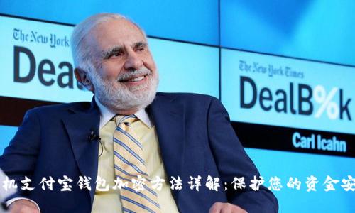 手机支付宝钱包加密方法详解：保护您的资金安全