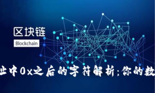 区块链钱包地址中0x之后的字符解析:你的数字资产安全吗?