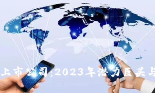 中国加密钱包上市公司：2023年潜力巨头与发展前景分析