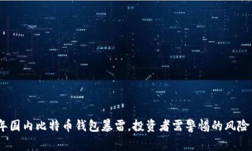 2023年国内比特币钱包暴雷，投资者需警惕的风险与机遇