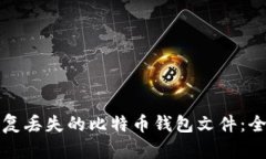如何恢复丢失的比特币钱包文件：全面指南