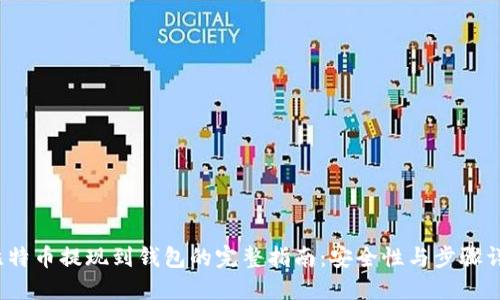  比特币提现到钱包的完整指南：安全性与步骤详解