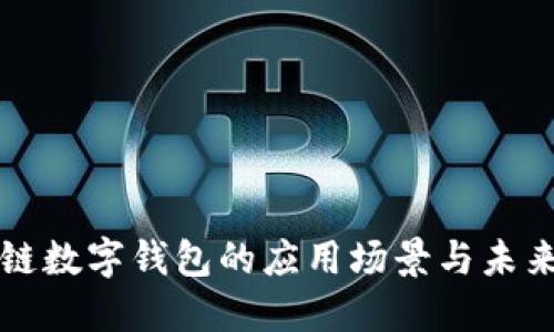 区块链数字钱包的应用场景与未来发展