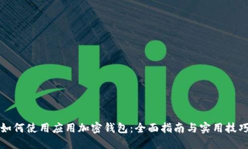 如何使用应用加密钱包：全面指南与实用技巧