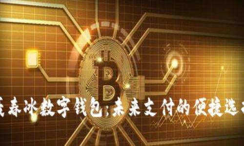 聂春冰数字钱包：未来支付的便捷选择