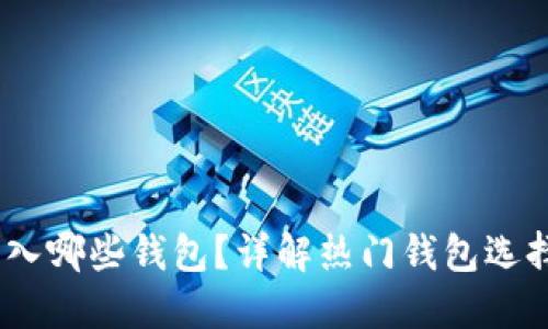 USDT可以转入哪些钱包？详解热门钱包选择与使用指南