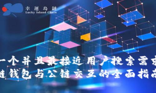 思考一个并且最接近用户搜索需求的  
区块链钱包与公链交互的全面指南