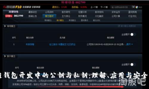 区块链钱包开发中的公钥与私钥：理解、应用与安全性分析