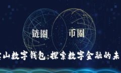 宝山数字钱包：探索数字金融的未来
