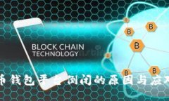 比特币钱包平台倒闭的原因与应对策略