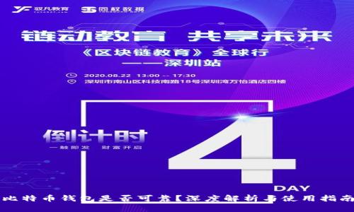 比特币钱包是否可靠？深度解析与使用指南