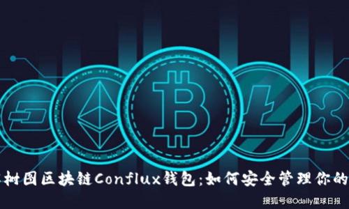 深入了解树图区块链Conflux钱包：如何安全管理你的数字资产