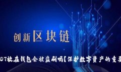 我的USDT放在钱包会被盗刷吗？保护数字资产的重