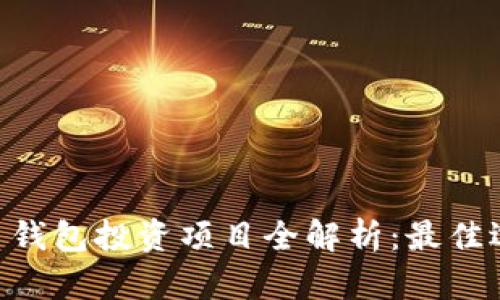 2023年 USDT 钱包投资项目全解析：最佳选择与投资策略