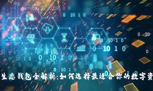 区块链安全生态钱包全解析：如何选择最适合你的数字资产保护方案